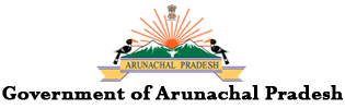 APIIP Logo