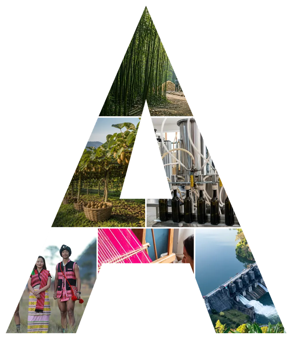 The letter A cut out of photographs of Arunachal Pradesh: bamboo, kiwi, orange orchards, handwoven dress, hydropower and a river valley.